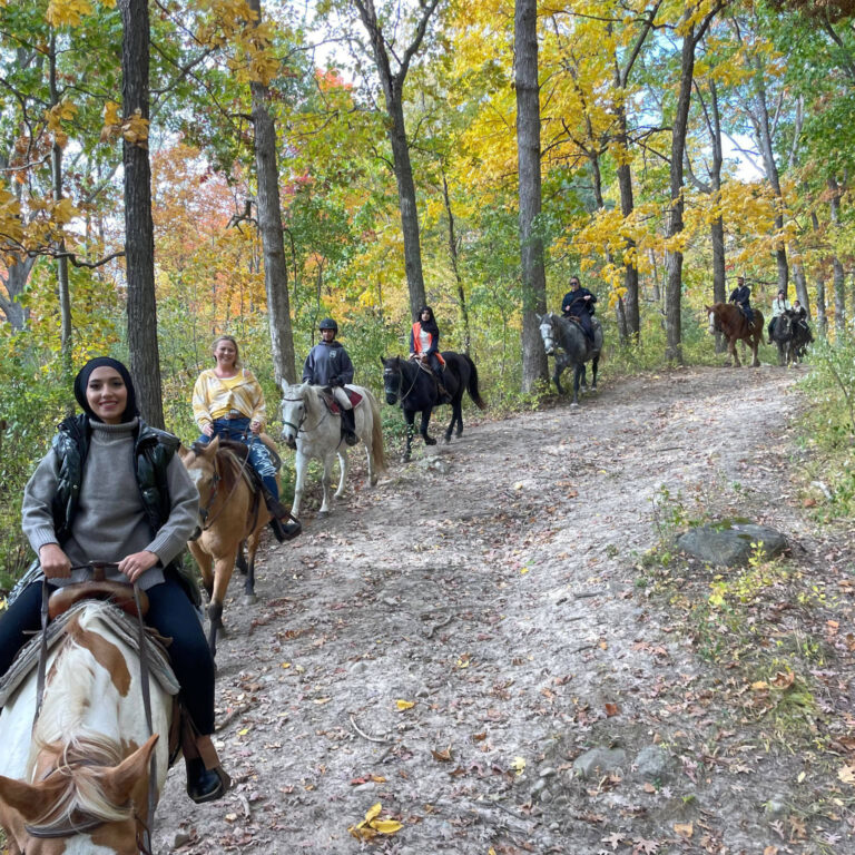 Gallery - High Vibe Trail Rides